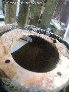 Держатель электрода нижний